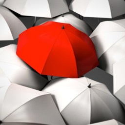 The True Differentiator